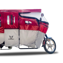 MOTOTAXIS