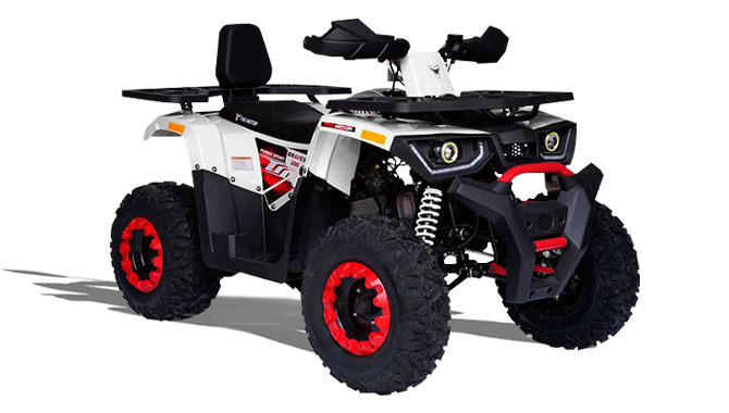TAO MOTOR BRAVES 200 PRO
