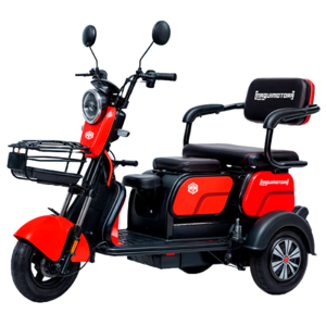 MAQUIMOTORA TRIMOTO MQ6