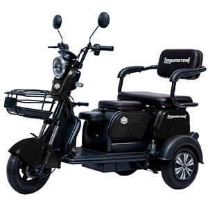 MAQUIMOTORA TRIMOTO MQ6