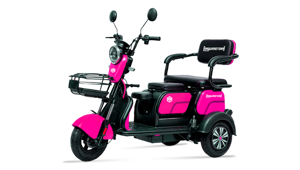 MAQUIMOTORA TRIMOTO MQ6