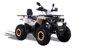 TAO MOTOR BRAVES 150